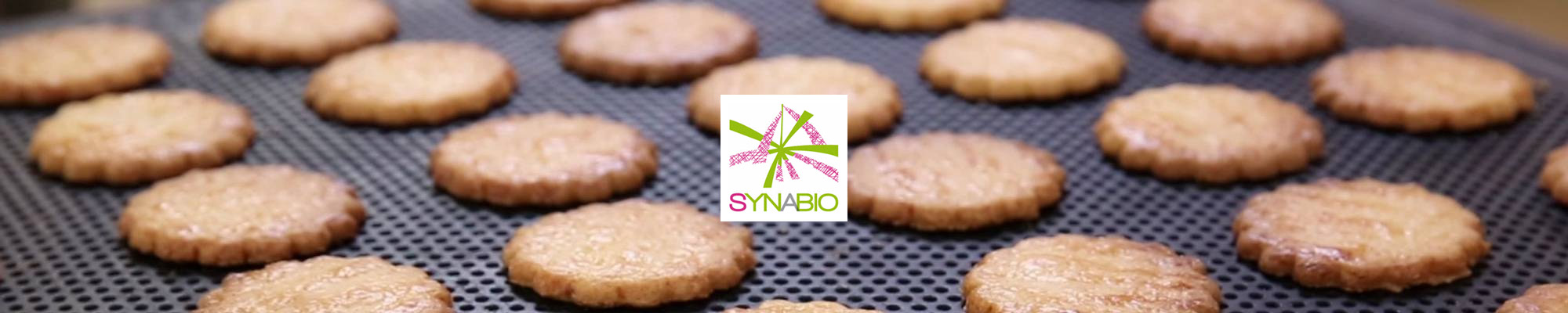 Synabio