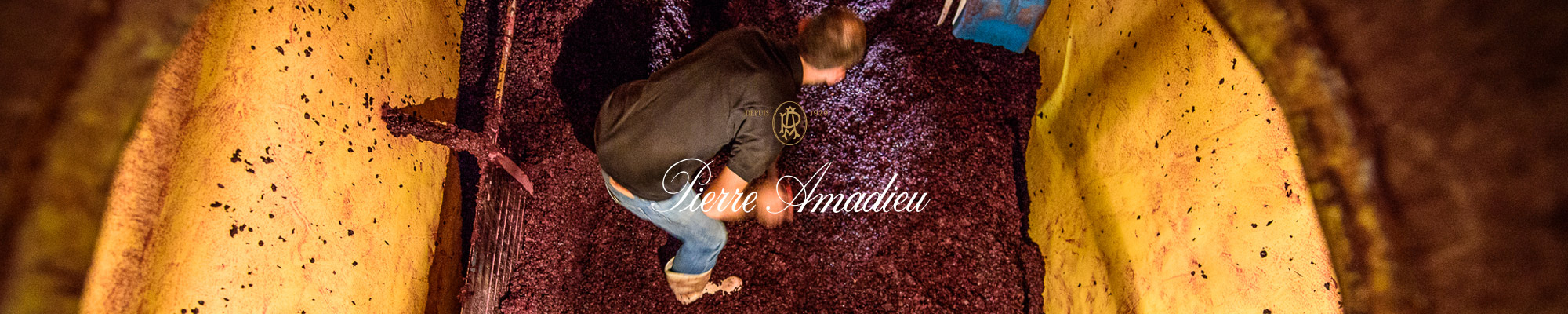 Pierre Amadieu