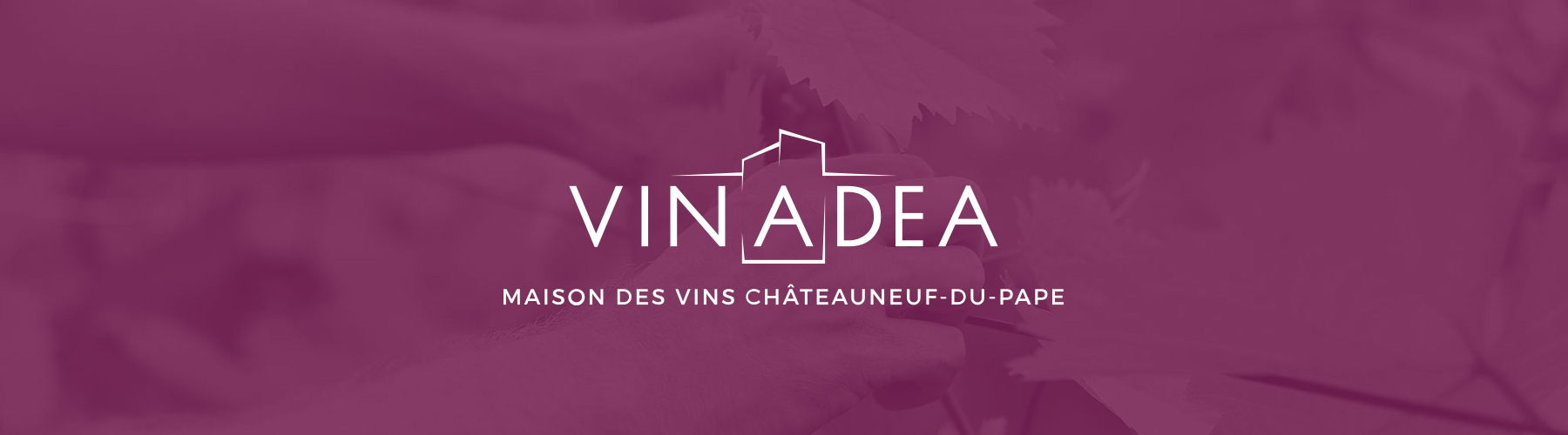 Vinadea : La maison des vins Châteauneuf-du-Pape