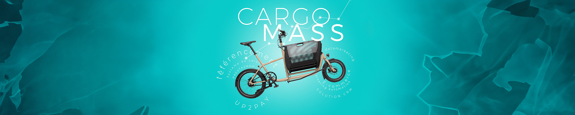 Cargo Mass