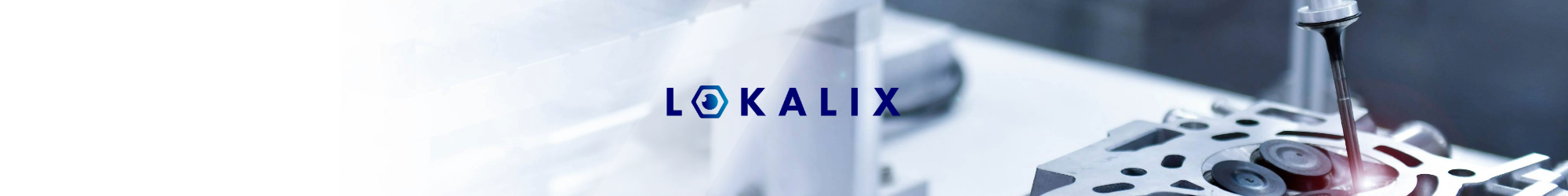 Lokalix